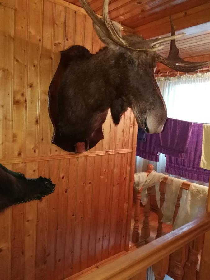Вилла Casa Alesi Dragoslavele Экстерьер фото